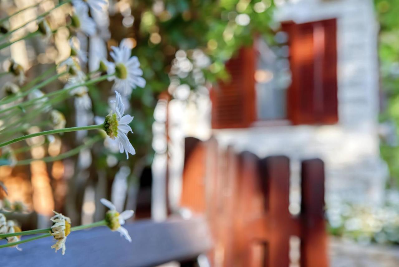 Holiday Home Giardino Marino Помер Экстерьер фото