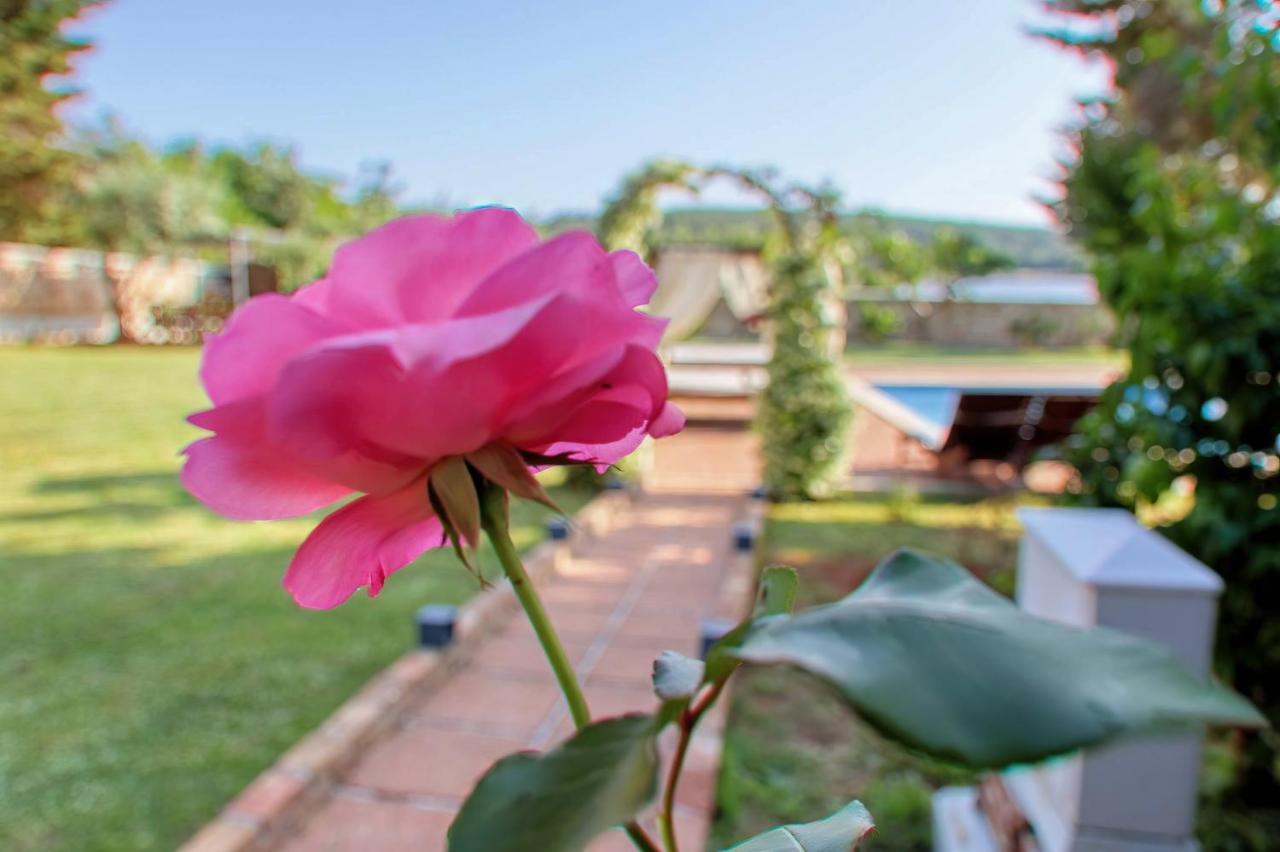 Holiday Home Giardino Marino Помер Экстерьер фото